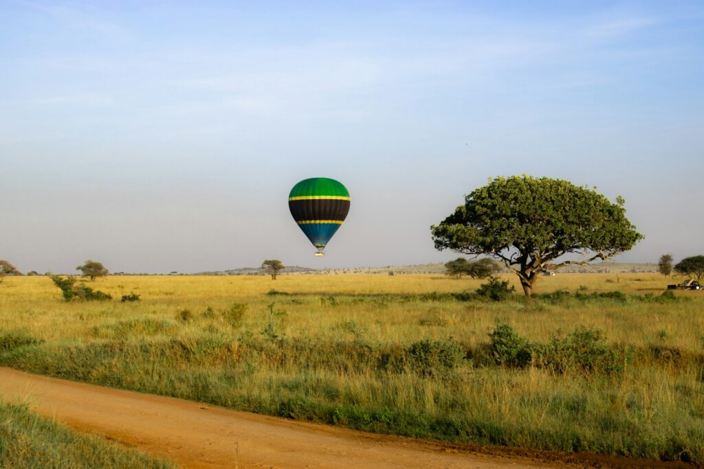 El pulso indomable de Tanzania hashim mbita gg javeq 4u unsplash