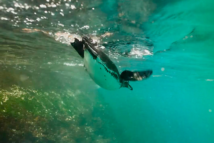 imagen de whatsapp 2025 10 22 a las 18.12.00 2014d70f