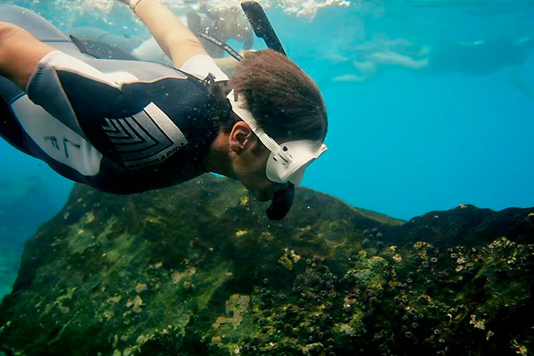 imagen de whatsapp 2025 10 22 a las 18.12.00 a1ba94fa