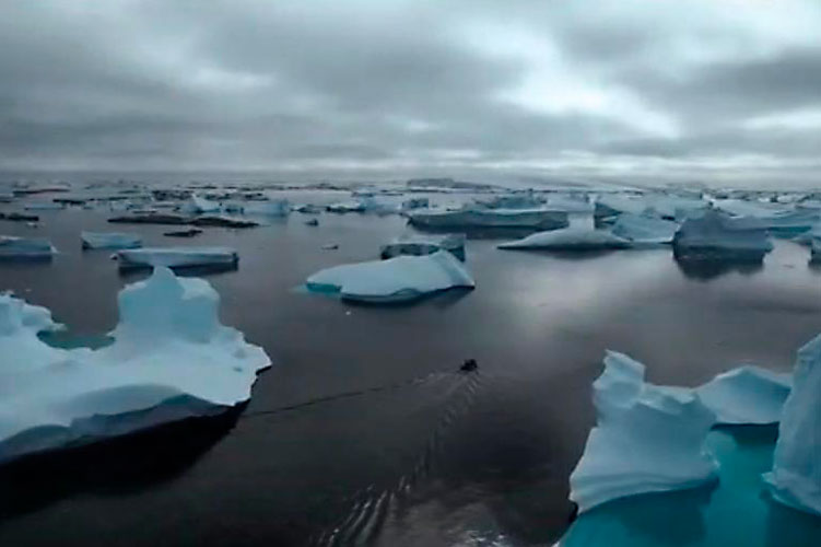 imagen de whatsapp 2025 10 22 a las 18.12.00 f3b83dc3