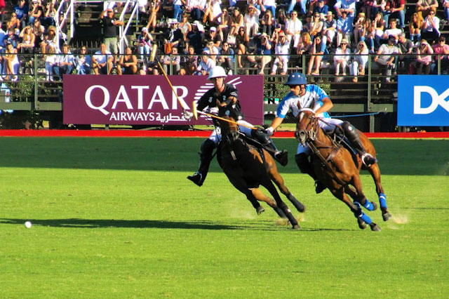 francisco deane 9atehe9vddu unsplash