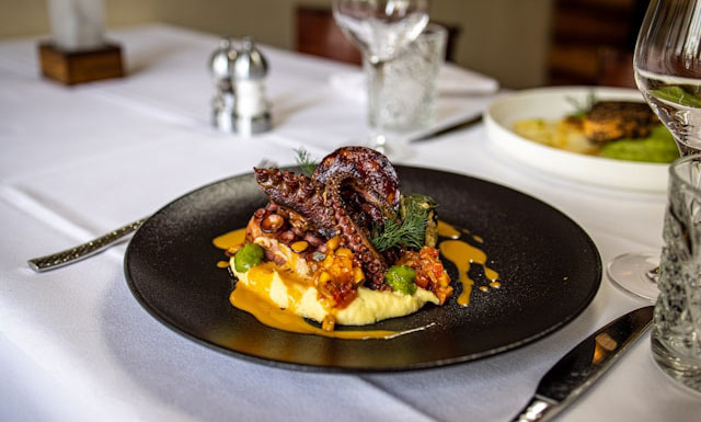 stefan schauberger ljo if yst8 unsplash v2