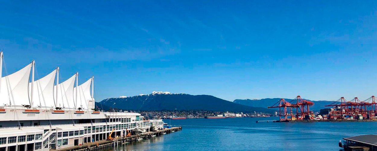 imagen de whatsapp 2025 10 30 a las 13.08.27 7b739a38