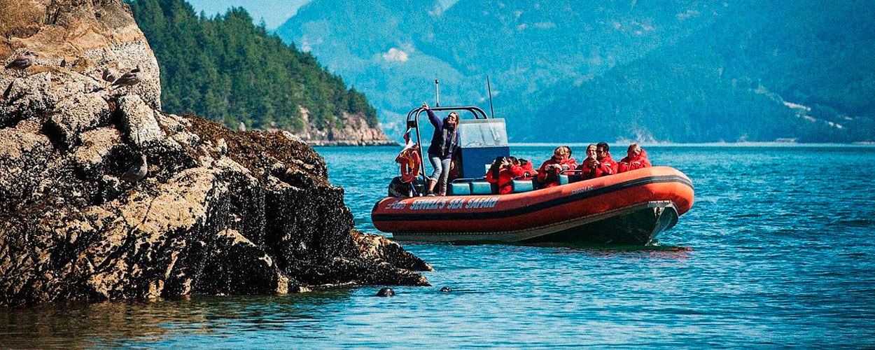 imagen de whatsapp 2025 10 30 a las 13.08.28 ebf16742