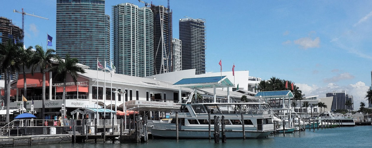 imagen de whatsapp 2025 10 30 a las 13.09.08 7b5f0448