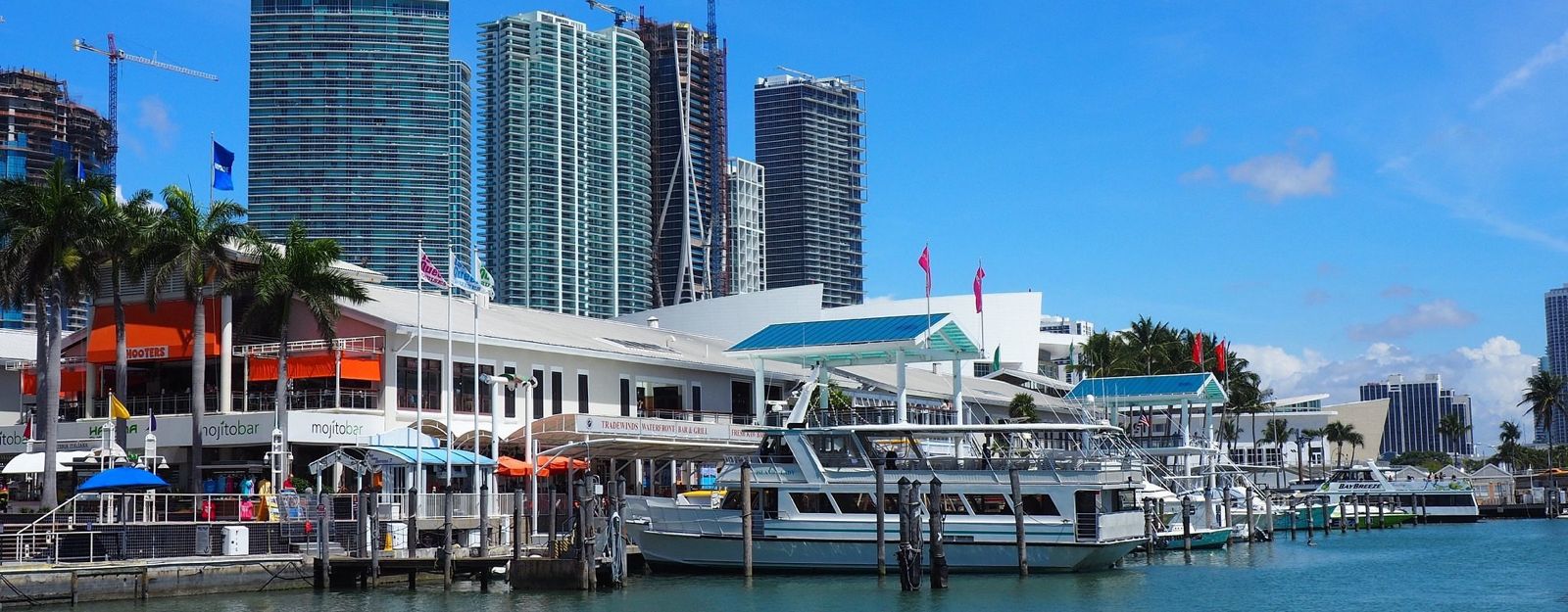 imagen de whatsapp 2025 10 30 a las 13.09.08 7b5f0448