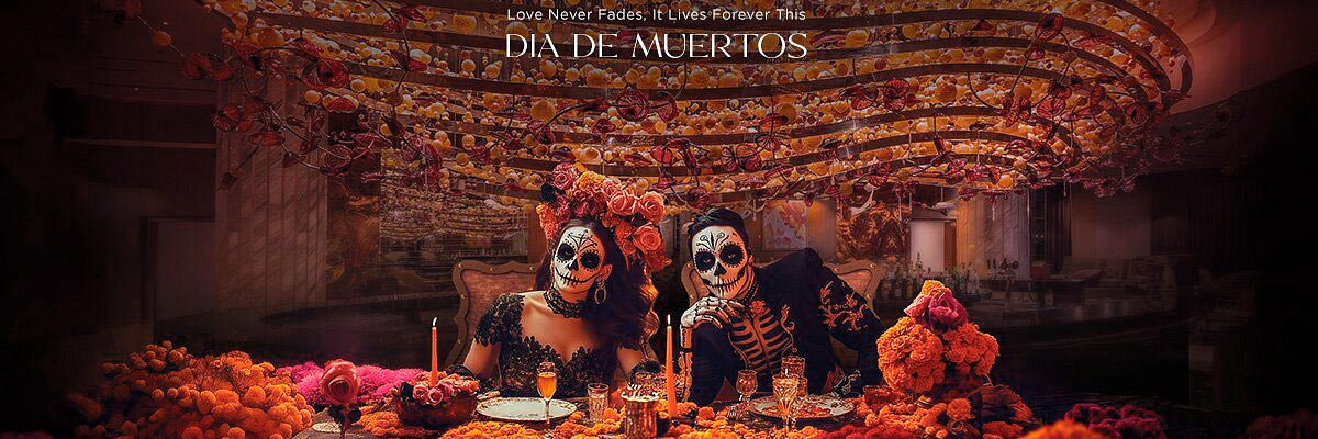 imagen de whatsapp 2025 10 30 a las 13.10.10 eaebb460