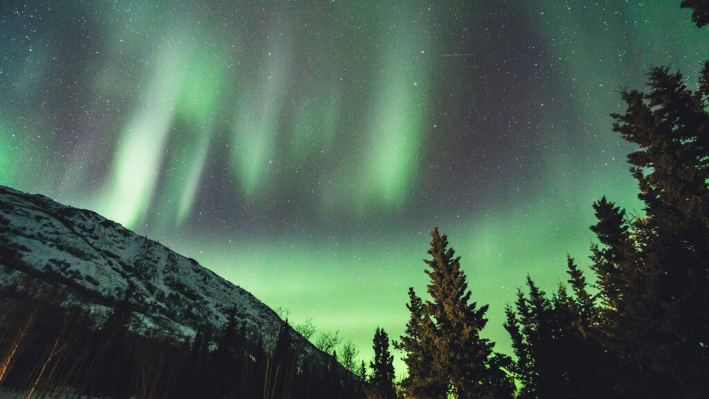 leonard laub w j5vi9jais unsplash