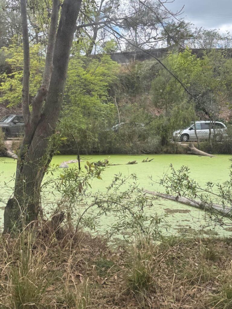 whatsapp image 2026 01 30 at 7.47.46 pm (11)