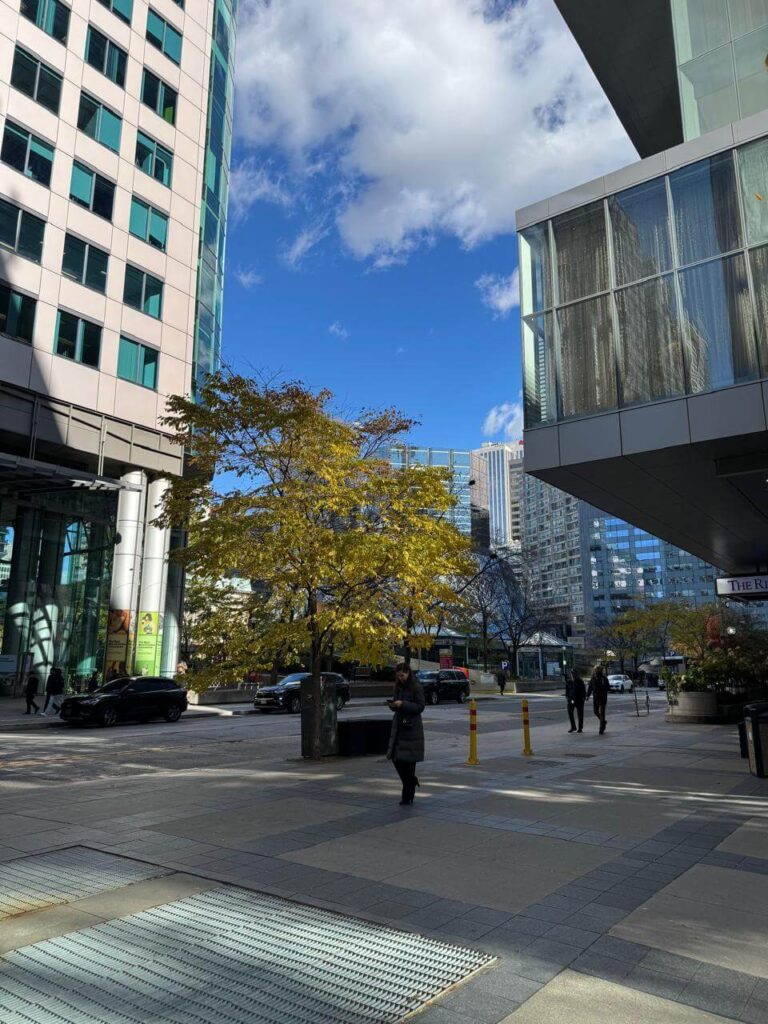 whatsapp image 2026 01 30 at 7.51.36 pm