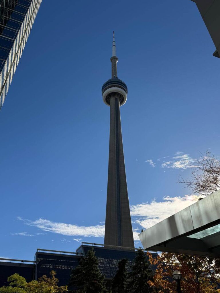 whatsapp image 2026 01 30 at 7.51.37 pm (1)