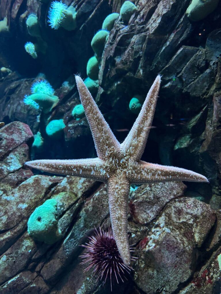 whatsapp image 2026 01 30 at 7.51.37 pm (10)