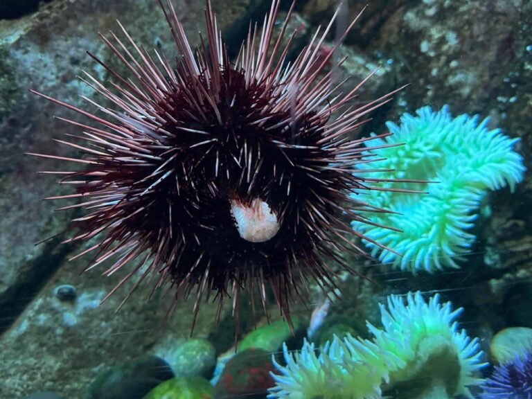 whatsapp image 2026 01 30 at 7.51.37 pm (11)