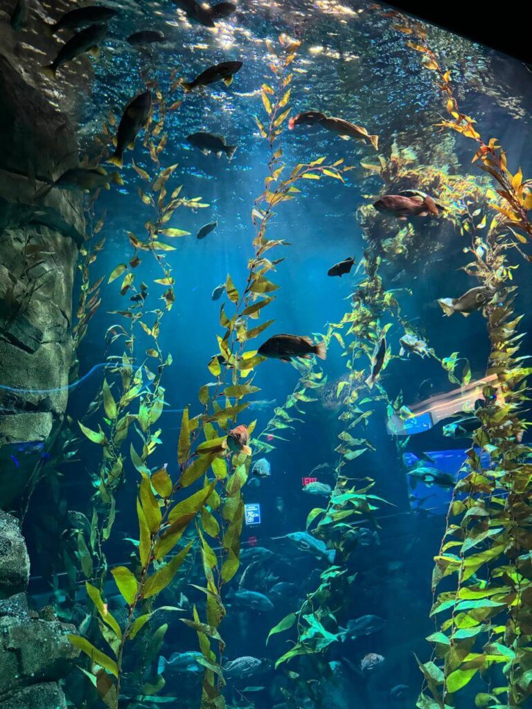 whatsapp image 2026 01 30 at 7.51.37 pm (12)