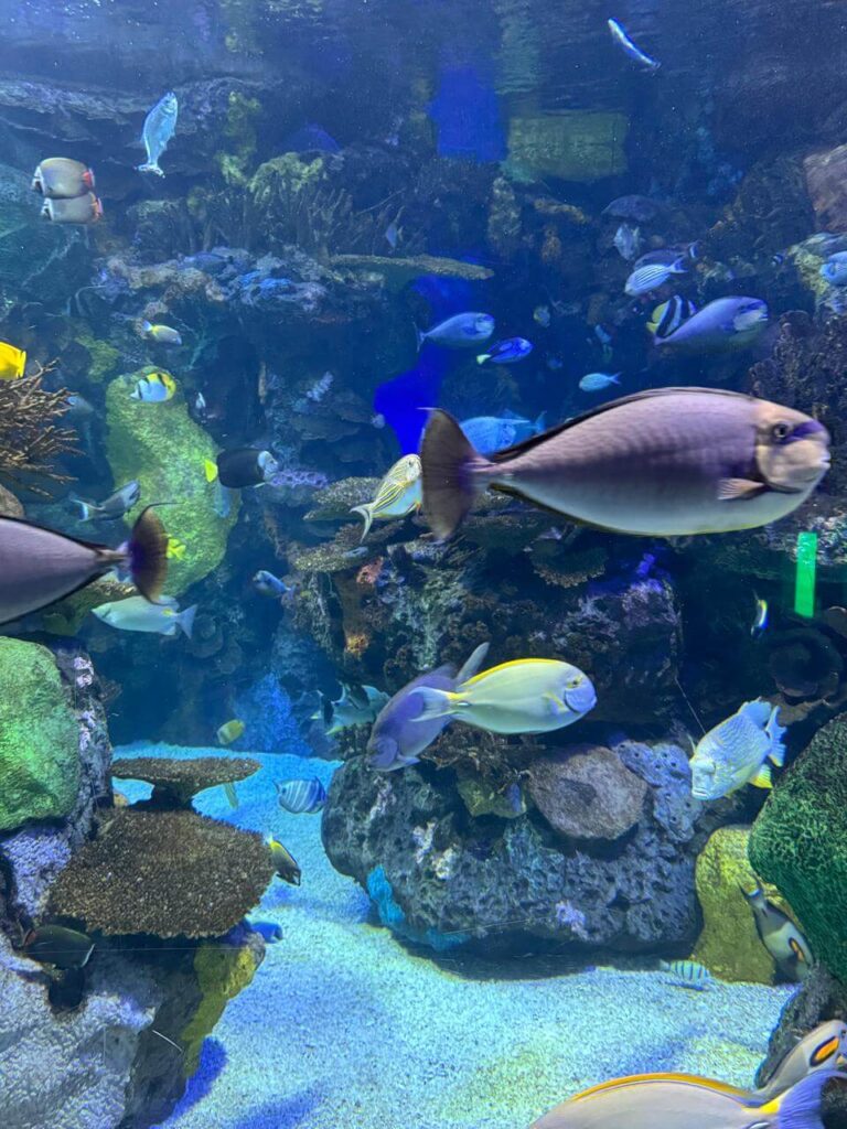 whatsapp image 2026 01 30 at 7.51.37 pm (13)