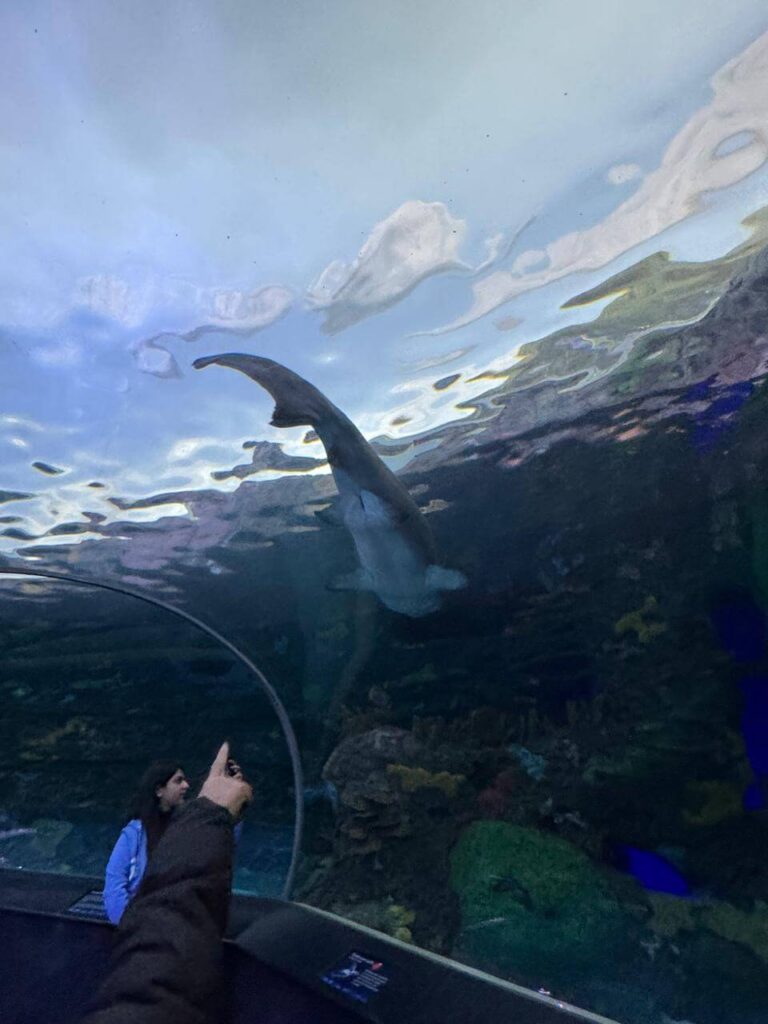 whatsapp image 2026 01 30 at 7.51.37 pm (15)