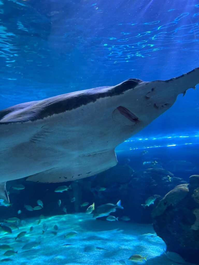 whatsapp image 2026 01 30 at 7.51.37 pm (17)