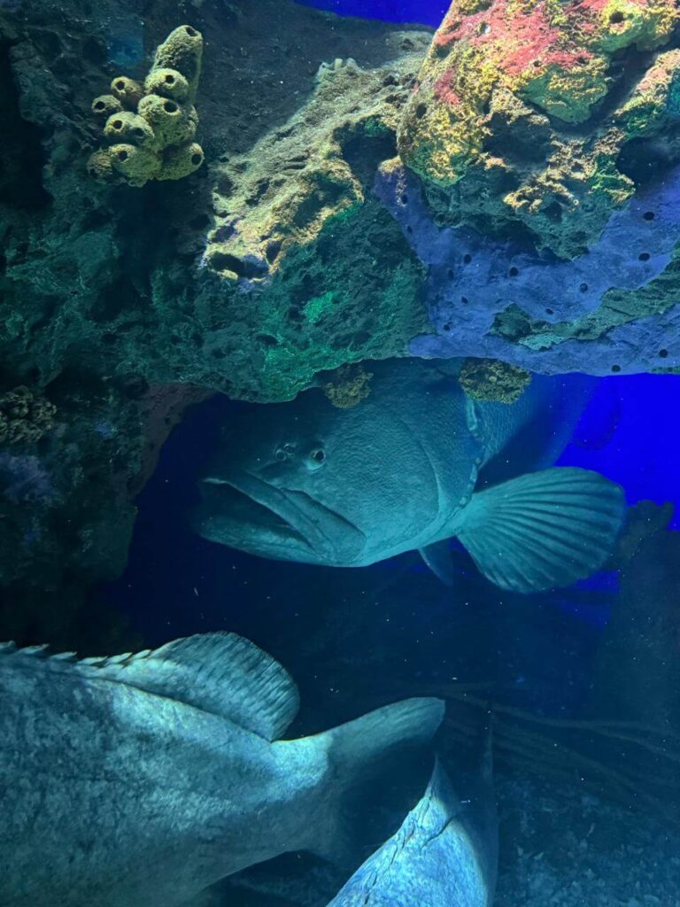 whatsapp image 2026 01 30 at 7.51.37 pm (19)