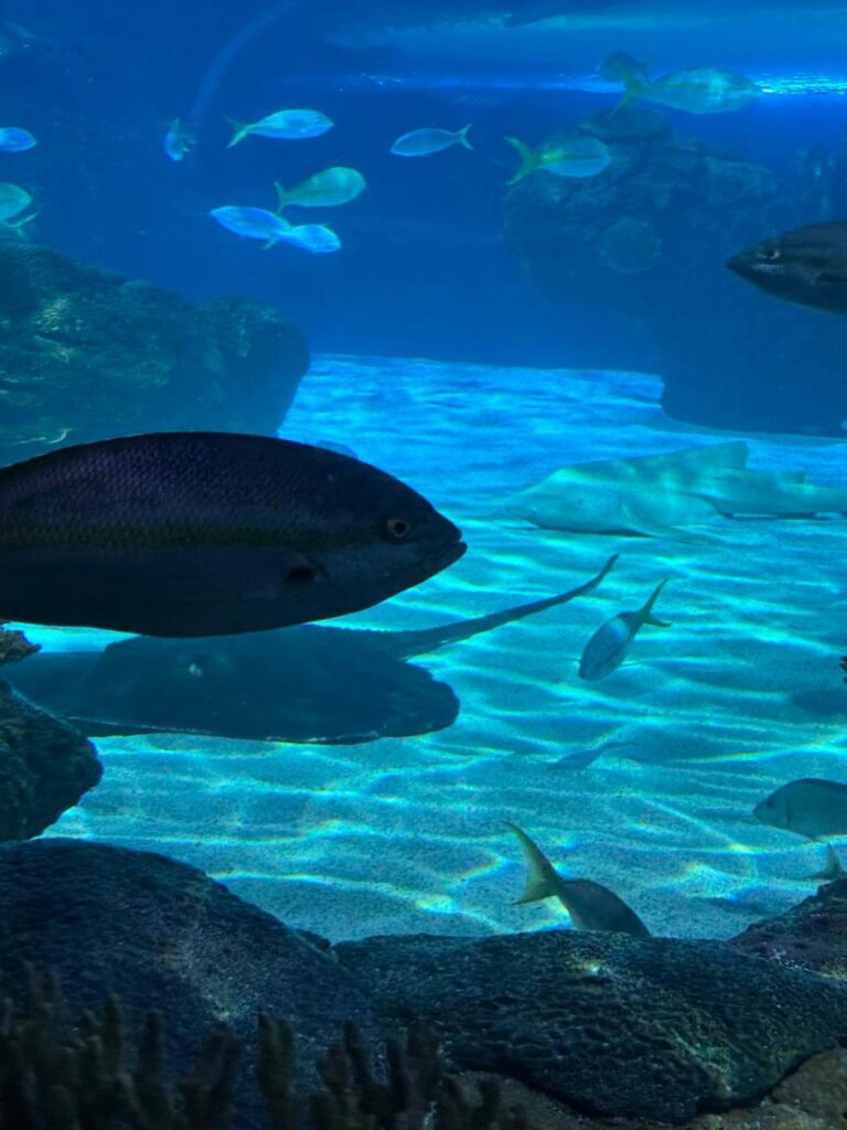 whatsapp image 2026 01 30 at 7.51.37 pm (21)