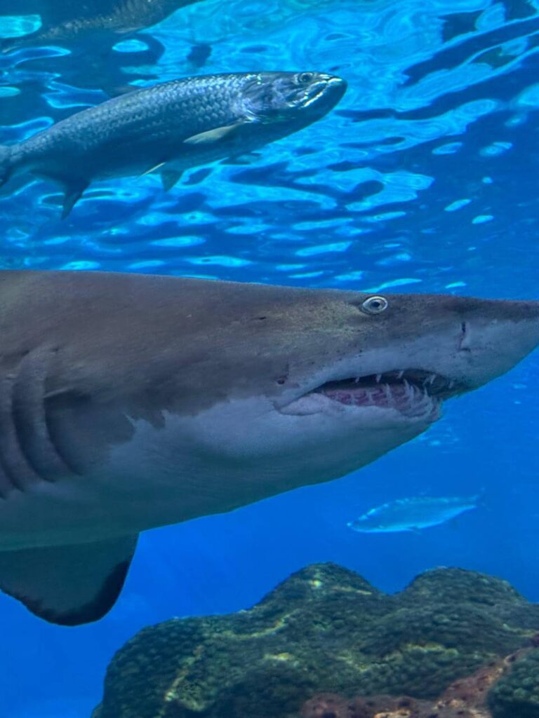 whatsapp image 2026 01 30 at 7.51.37 pm (22)