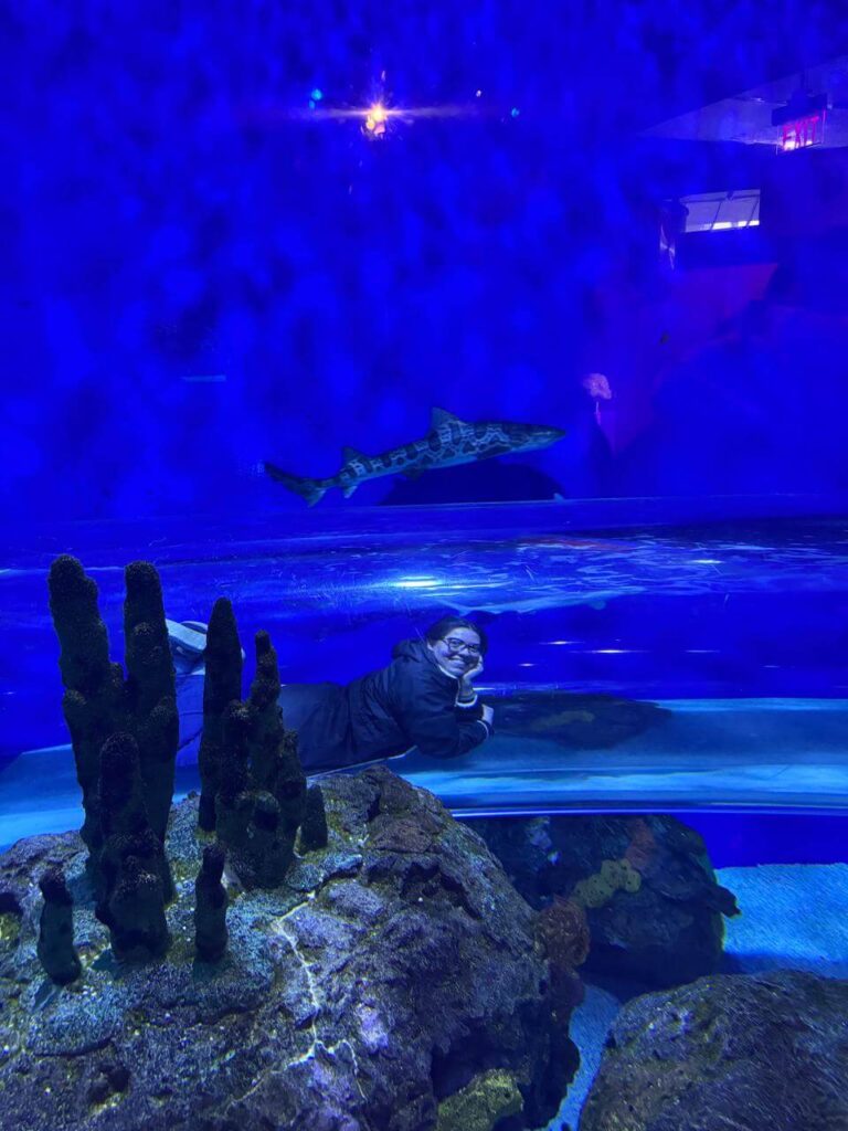 whatsapp image 2026 01 30 at 7.51.37 pm (24)