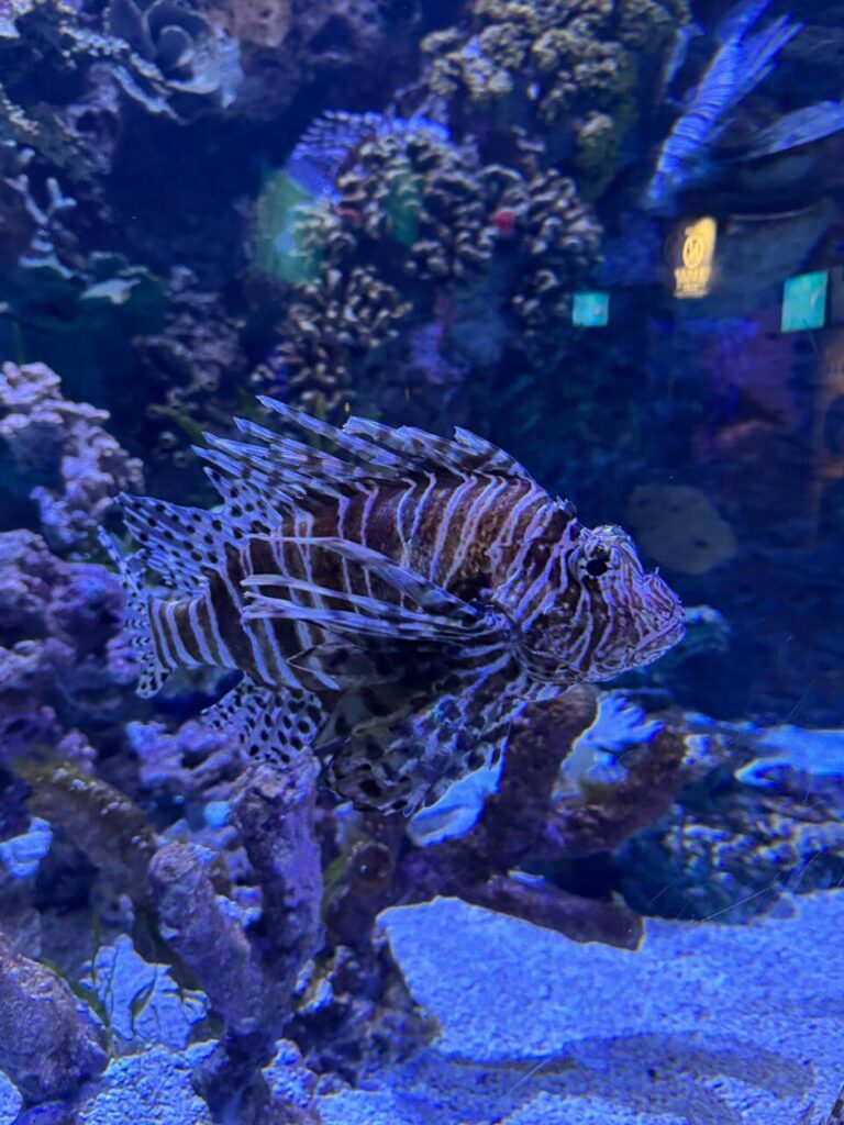 whatsapp image 2026 01 30 at 7.51.37 pm (25)