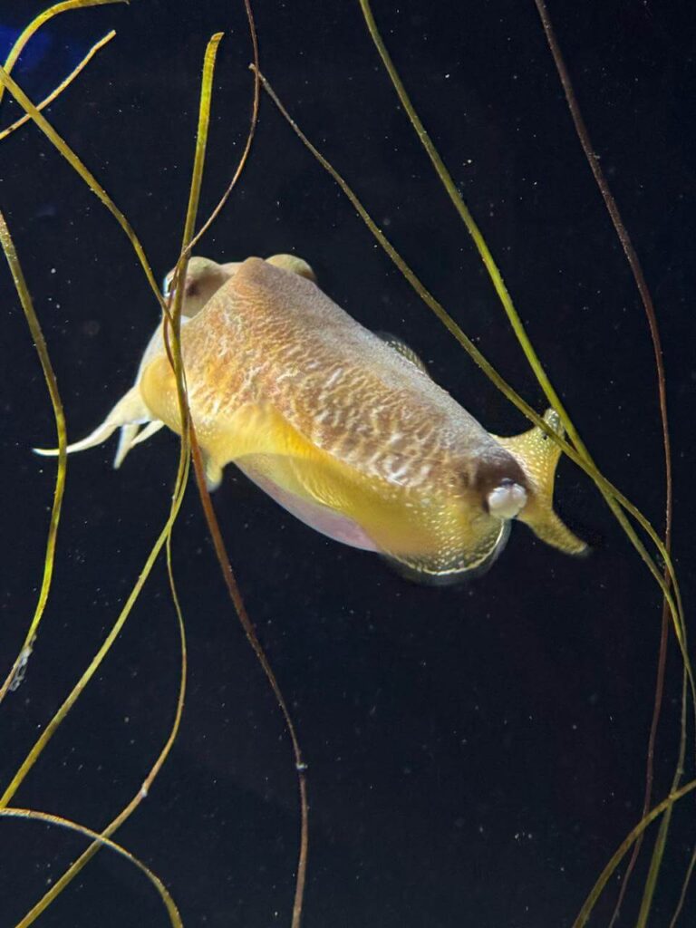 whatsapp image 2026 01 30 at 7.51.37 pm (26)