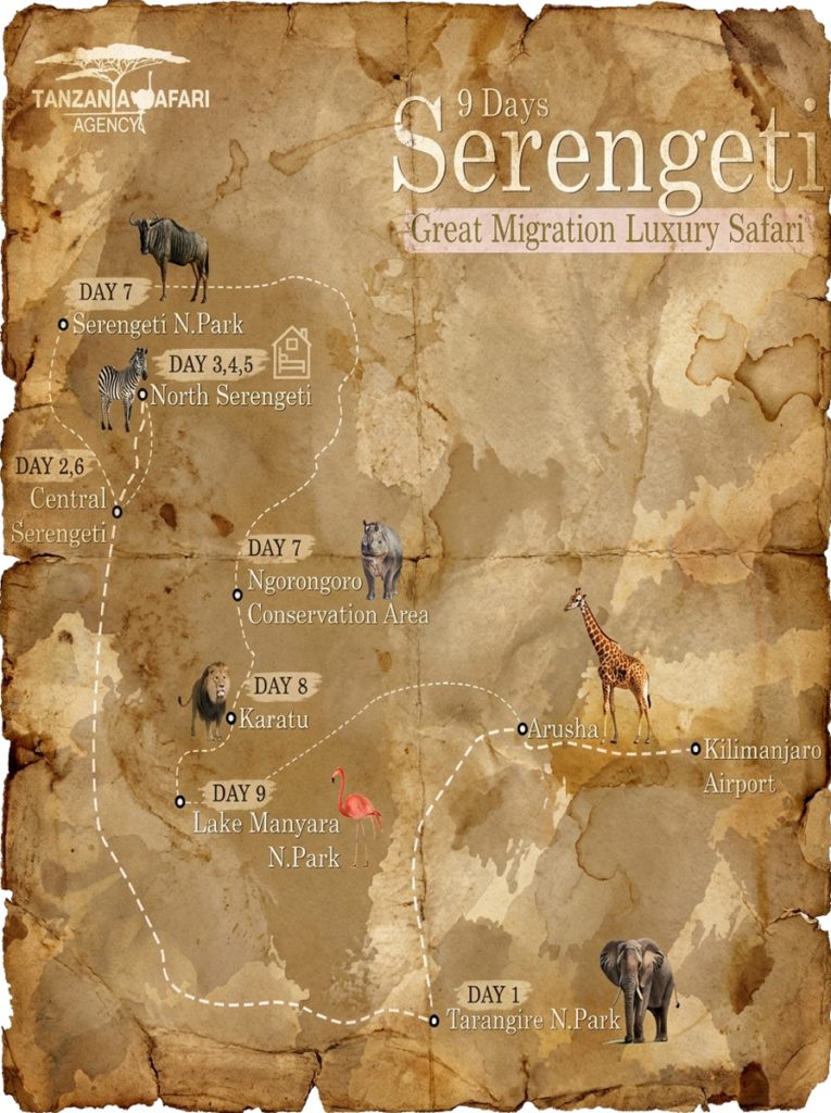 map safari map safari