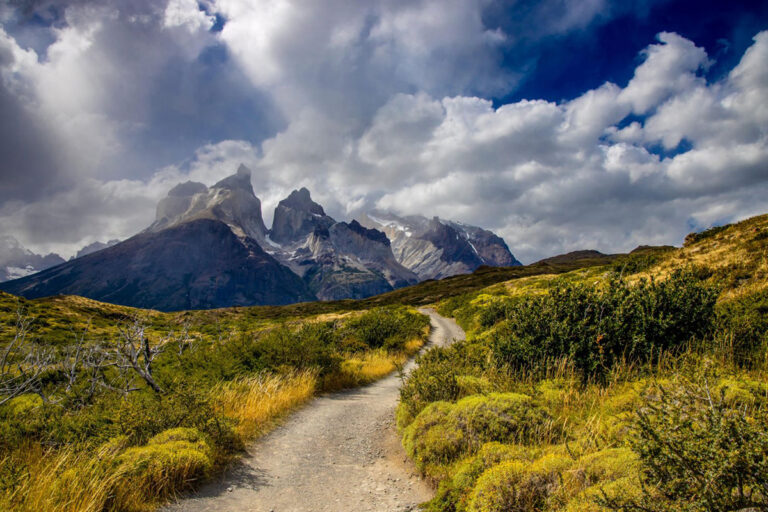 chile06