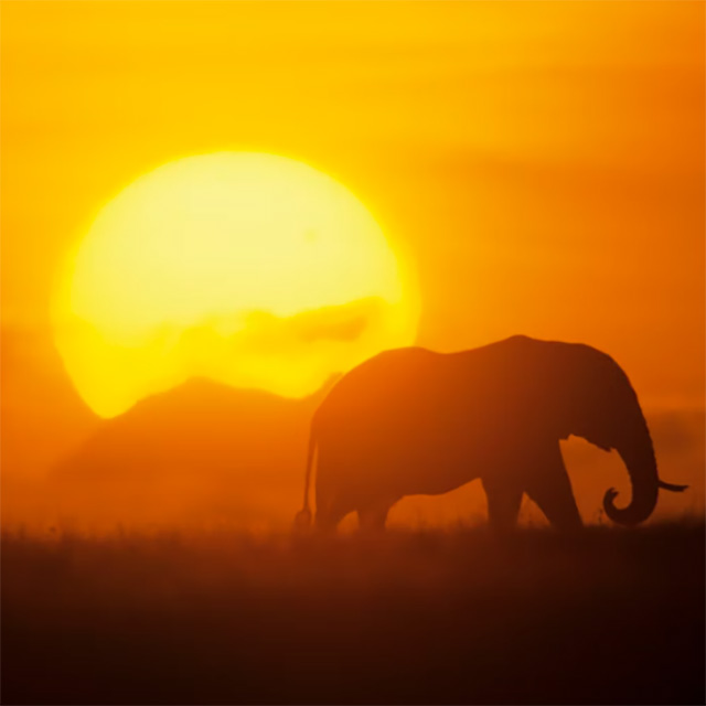 sudafricath