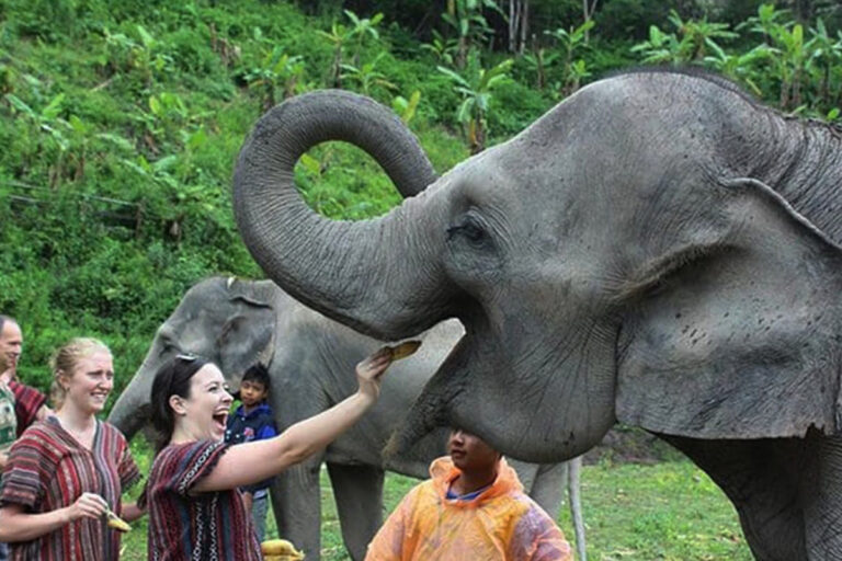 tailandia04