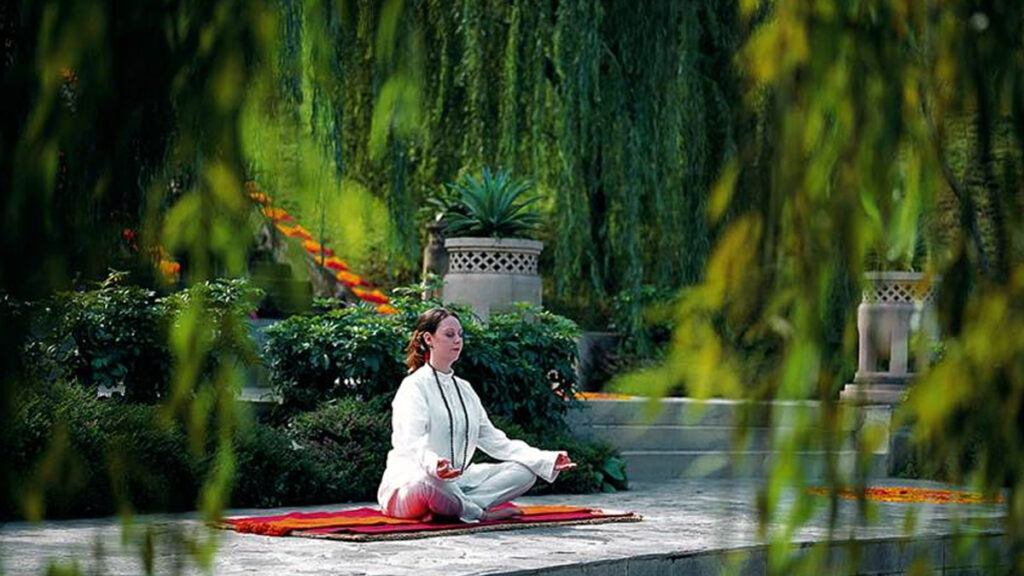 ananda3