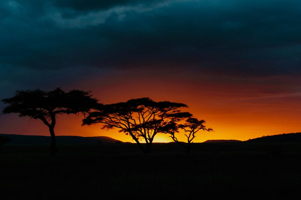El pulso indomable de Tanzania hana el zohiry wekp5jaas7e unsplash