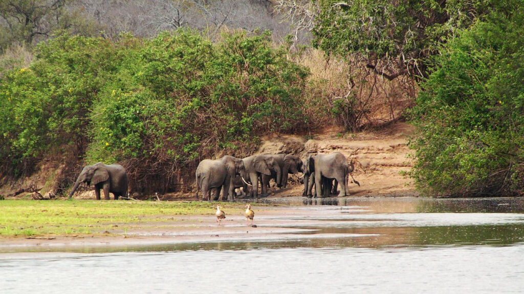 El pulso indomable de Tanzania tanzania10