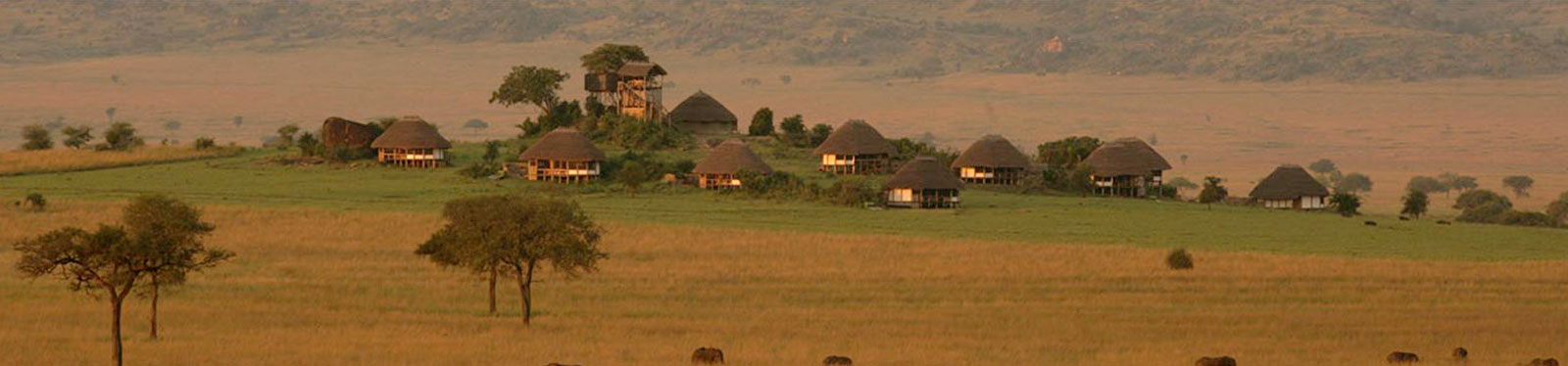 tanzania16 tanzania16