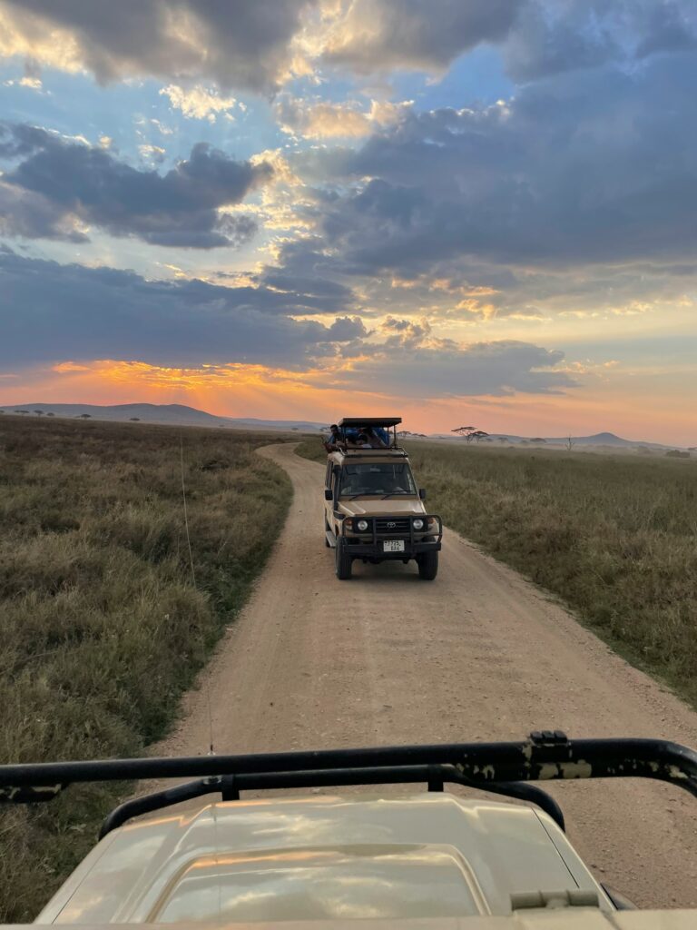 El pulso indomable de Tanzania uzuri safaris tanzania aloaqus7 ya unsplash